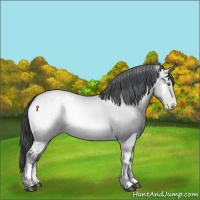 Horse Color:White Spotted Brown Chinchilla Pearl Onyx 