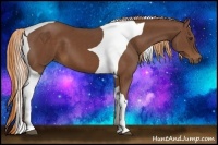 Horse Color:Chestnut Tobiano Frame