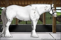 Horse Color:Liver Chestnut Sabino Snowcap 