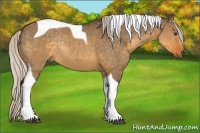 Horse Color:Silver Buckskin Dun Tobiano Rabicano