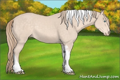 Horse Color:Perlino Tobiano Rabicano
