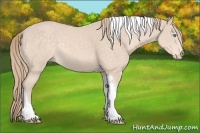 Horse Color:Perlino Tobiano Rabicano