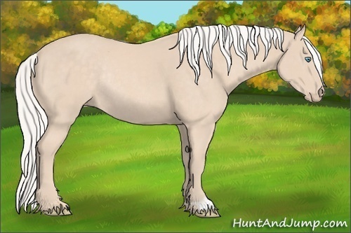 Horse Color:Silver Perlino Rabicano