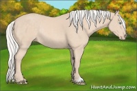 Horse Color:Silver Perlino Rabicano 