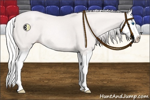 Horse Color:Platinum Gold Cream Champagne Sabino Splash Rabicano