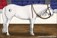 Horse Color:Platinum Gold Cream Champagne Sabino Splash Rabicano