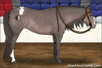 Horse Color:Platinum Liver Chestnut Appaloosa 