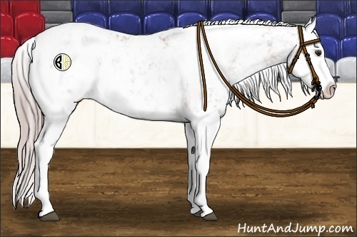 Horse Color:Platinum Chestnut Sabino Splash Appaloosa 