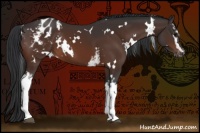 Horse Color:White Spotted Brown Varnish 
