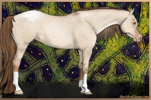 Horse Color:Liver Red Dun Pearl Snowflake Varnish