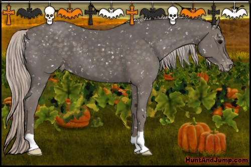 Horse Color:Silver Black Snowflake Varnish
