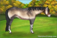 Horse Color:Brown Onyx 