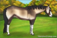 Horse Color:Brown Onyx 