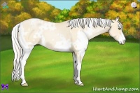 Horse Color:White Spotted Silver Buckskin Pearl Dun Sabino 