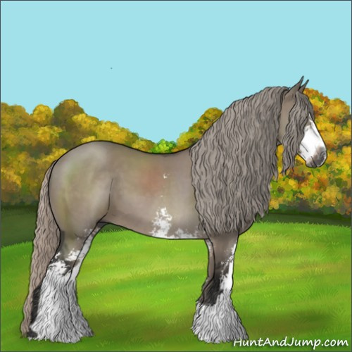Horse Color:Gray Silver Grullo Sabino