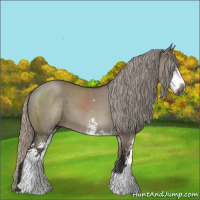 Horse Color:Gray Silver Grullo Sabino
