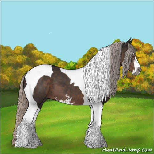 Horse Color:Gray Silver Black Sabino Tobiano