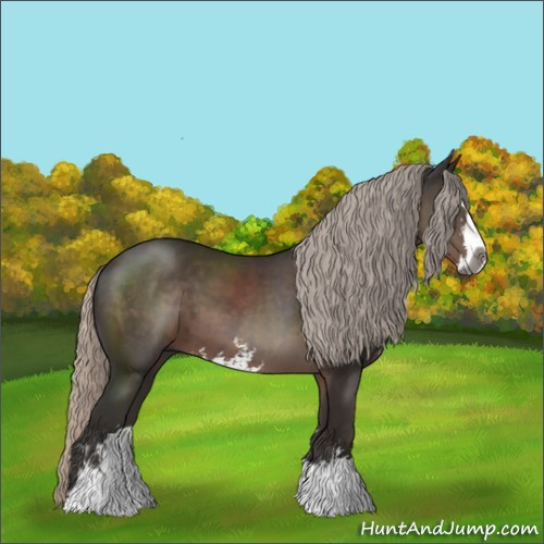 Horse Color:Gray Silver Black Sabino 