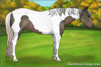 Horse Color:Gray Silver Black Tobiano 