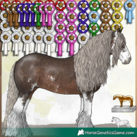 Horse Color:Gray Silver Black Sabino 
