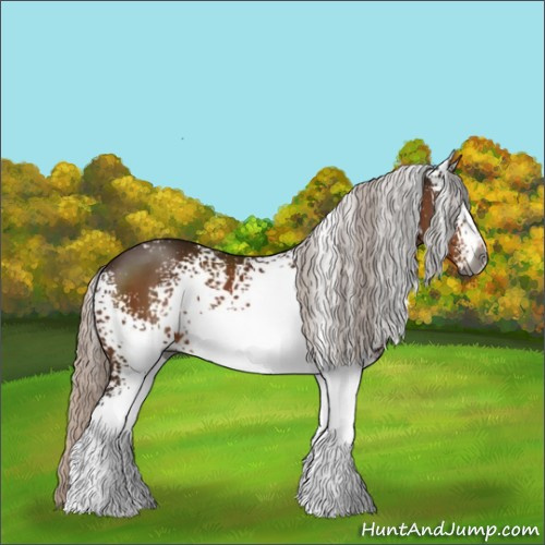 Horse Color:Gray White Spotted Silver Brown