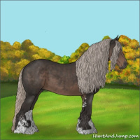 Horse Color:Gray Silver Black Sabino 