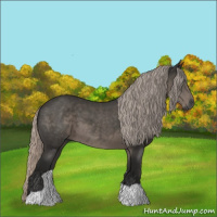 Horse Color:Gray Silver Black 