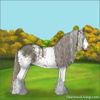 Horse Color:Gray White Spotted Silver Black 