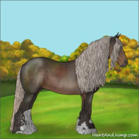 Horse Color:Gray Silver Black Sabino 