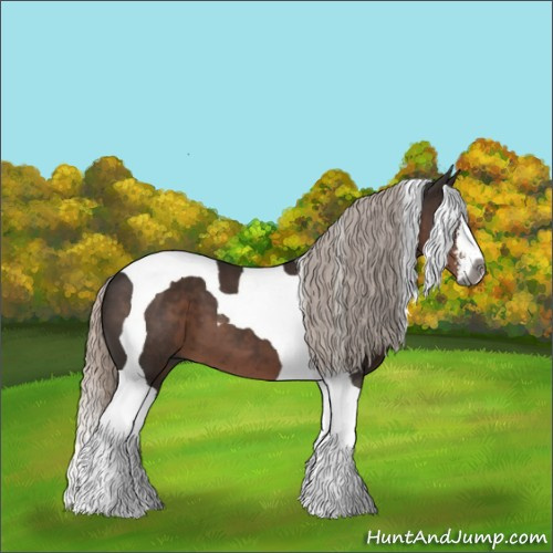 Horse Color:Gray Silver Black Sabino Tobiano 
