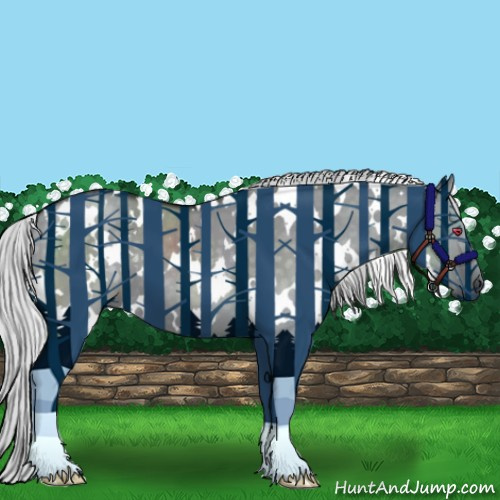 Horse Color:White Spotted Silver Grullo Chinchilla 