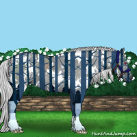 Horse Color:White Spotted Silver Grullo Chinchilla 