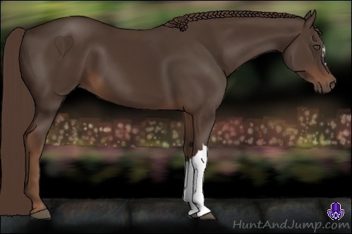 Horse Color:Liver Chestnut 