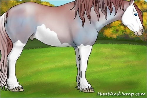Horse Color:Bay Pearl Splash 