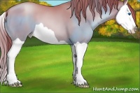 Horse Color:Bay Pearl Splash 