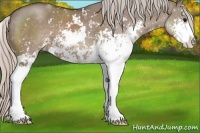 Horse Color:Silver Grullo Sabino
