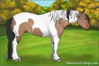 Horse Color:Brown Dun Tobiano 