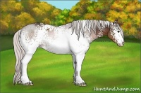 Horse Color:White Spotted Silver Brown 