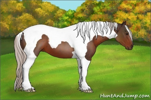 Horse Color:Silver Brown Tobiano 
