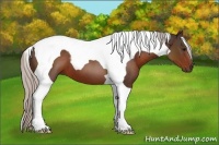 Horse Color:Silver Brown Tobiano 