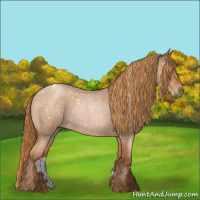Horse Color:Gray Red Roan Pearl Appaloosa 