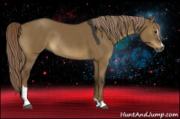 Horse Color:Gray Chocolate Palomino Dun Sabino Rabicano