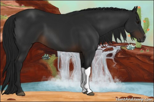Horse Color:Gray Brown 