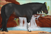 Horse Color:Gray Brown