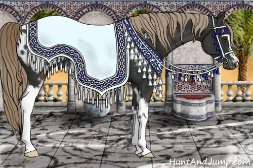 Horse Color:White Spotted Liver Chestnut Appaloosa 