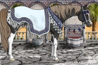 Horse Color:White Spotted Liver Chestnut Appaloosa 