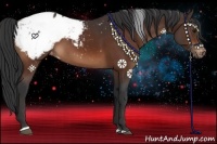 Horse Color:Brown Sabino Appaloosa Rabicano
