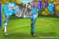 Horse Color:Painted White Spotted Liver Chestnut Rabicano 