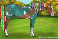 Horse Color:Painted White Spotted Silver Bay Sabino Splash Rabicano