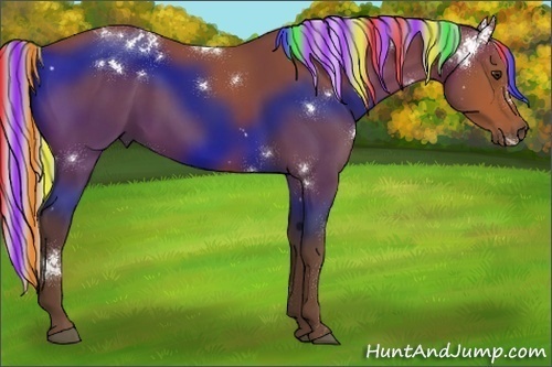 Horse Color:Painted White Spotted Silver Bay Rabicano 